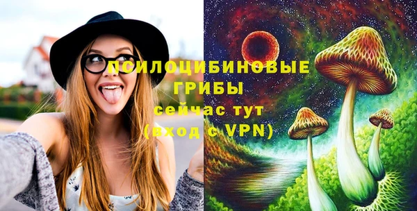 2c-b Липки