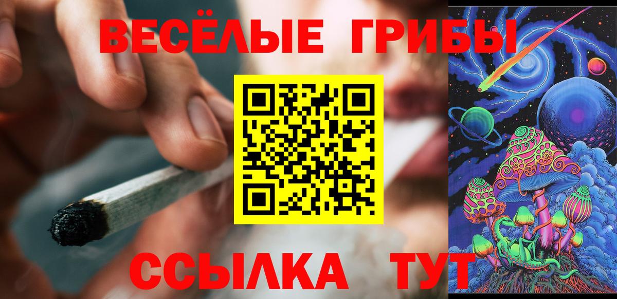 Псилоцибиновые грибы MAGIC MUSHROOMS  Вход с VPN  Корсаков 