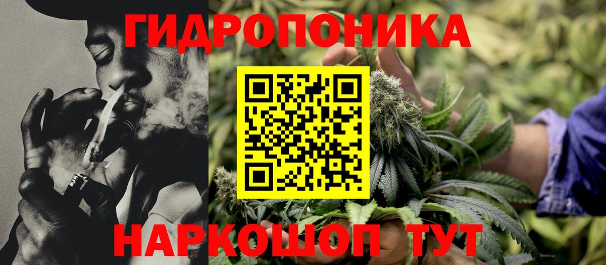 Корсаков  Конопля тримм  Марихуана AK-47  Шишки марихуана конопля  Вход с VPN 